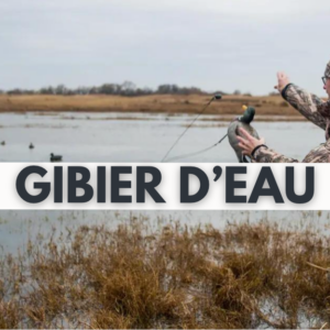 Gibier d'eau