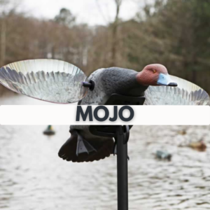 Mojo / ailes tournants